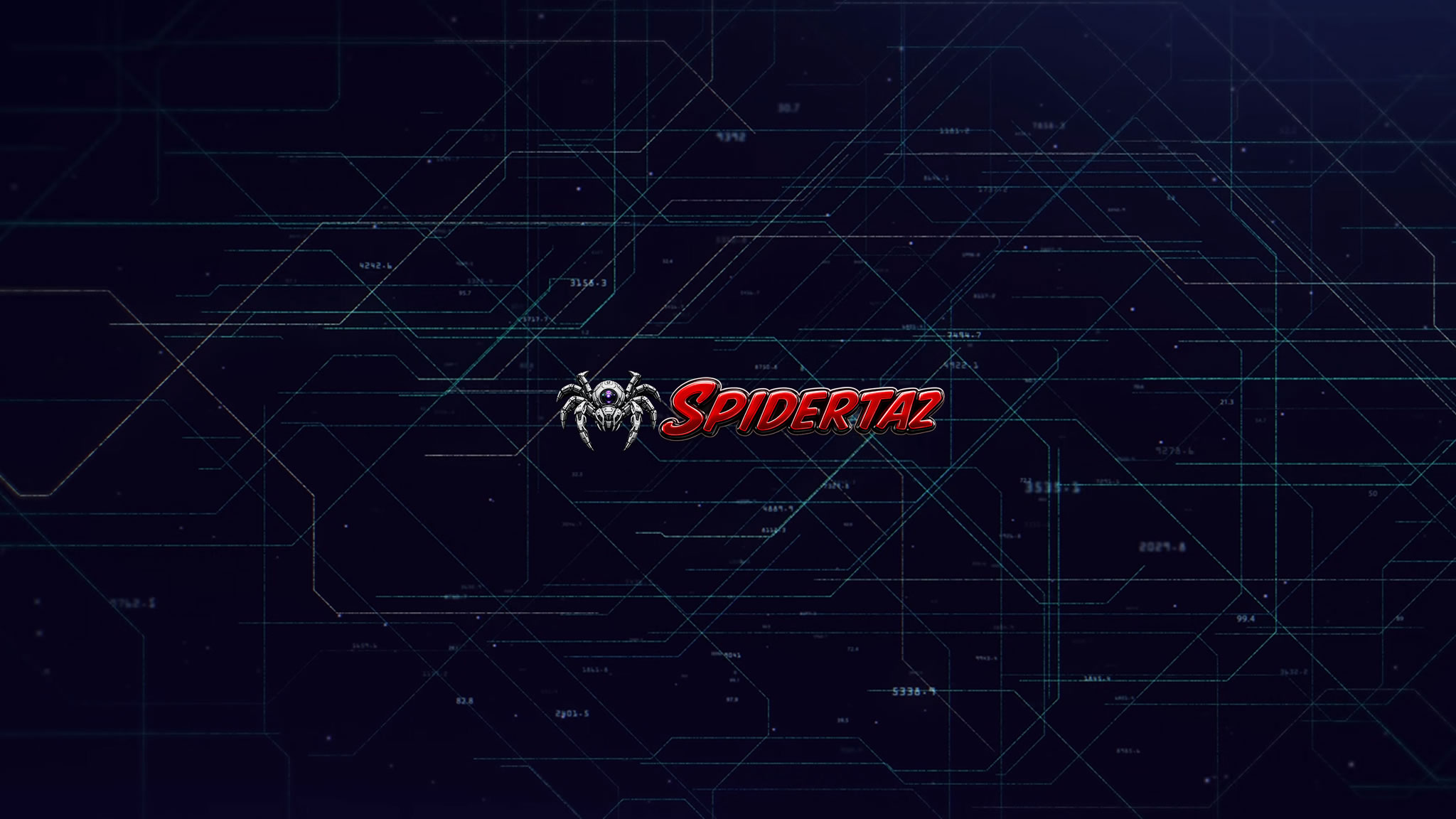 Spider Taz banner